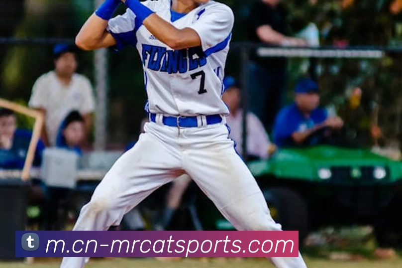 体育下注APP 高清赛事图