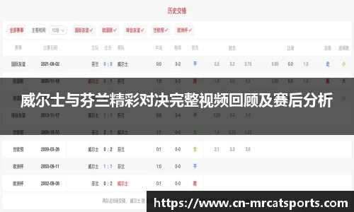 威尔士与芬兰精彩对决完整视频回顾及赛后分析